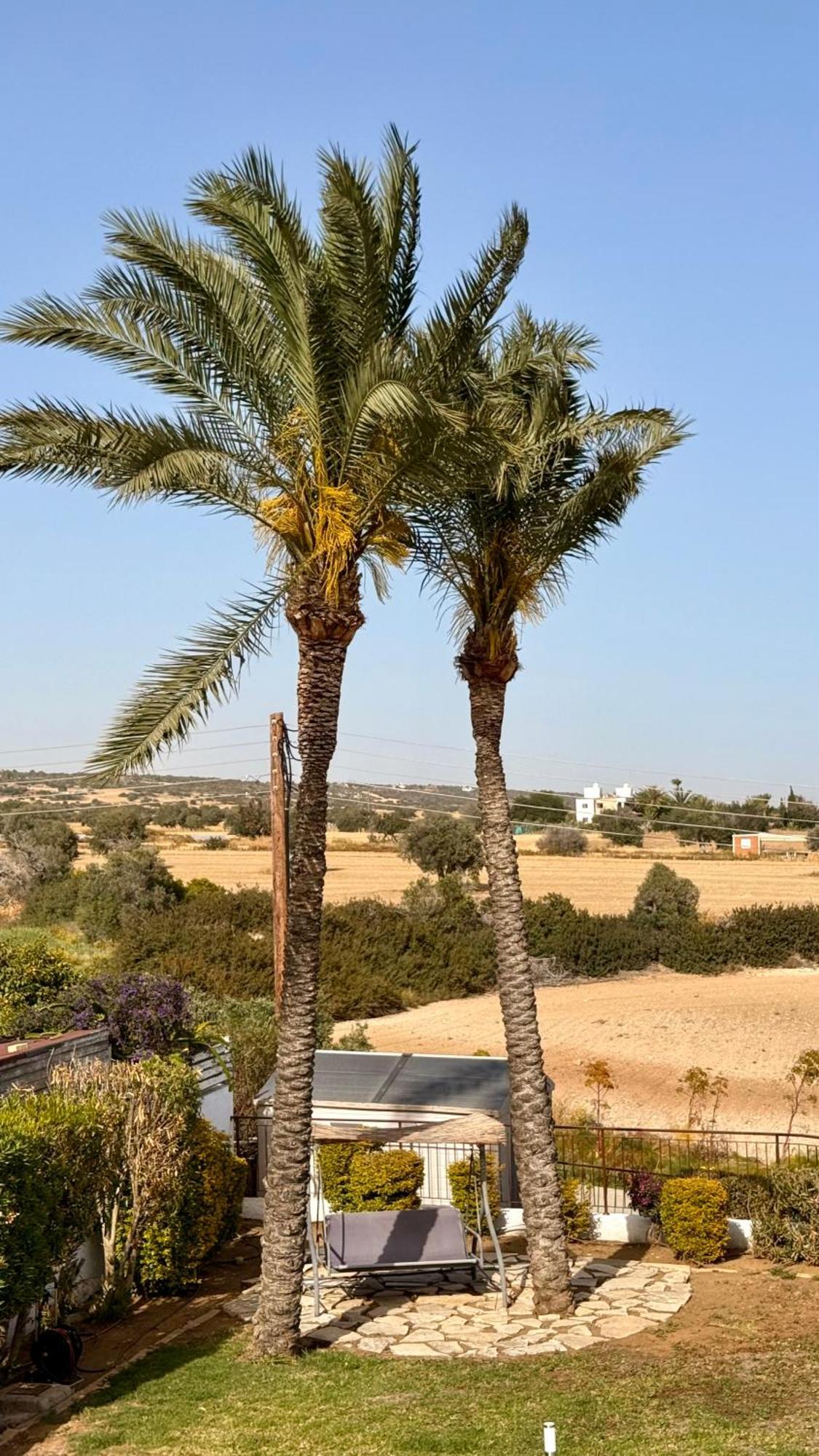 Villa Hera Agios Theodoros Екстериор снимка